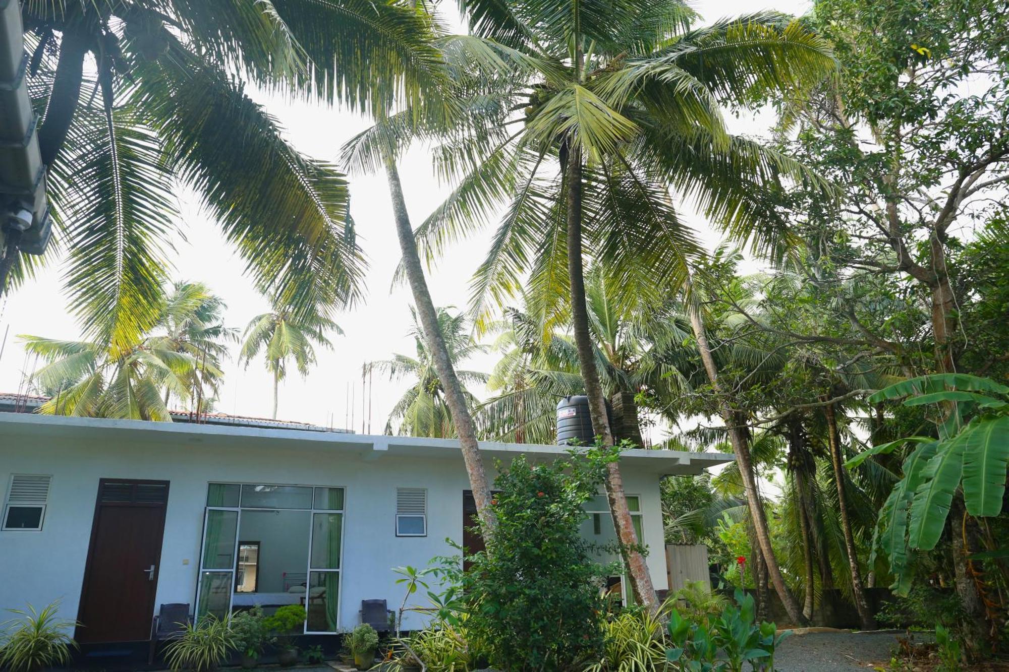 Sandy Palms Guesthouse Hikkaduwa Exterior photo