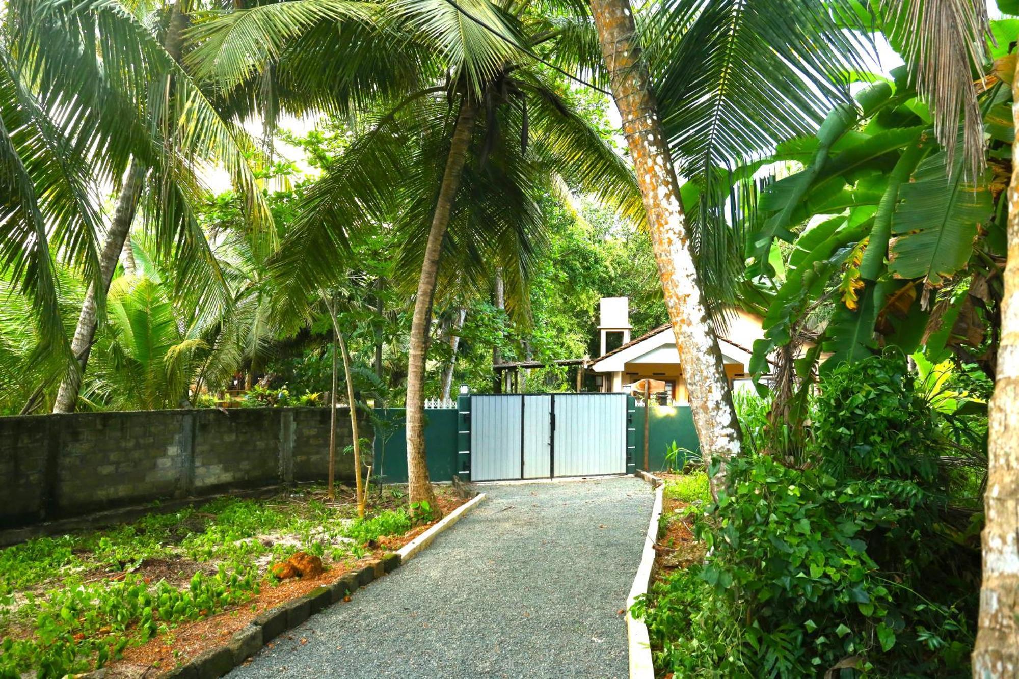 Sandy Palms Guesthouse Hikkaduwa Exterior photo