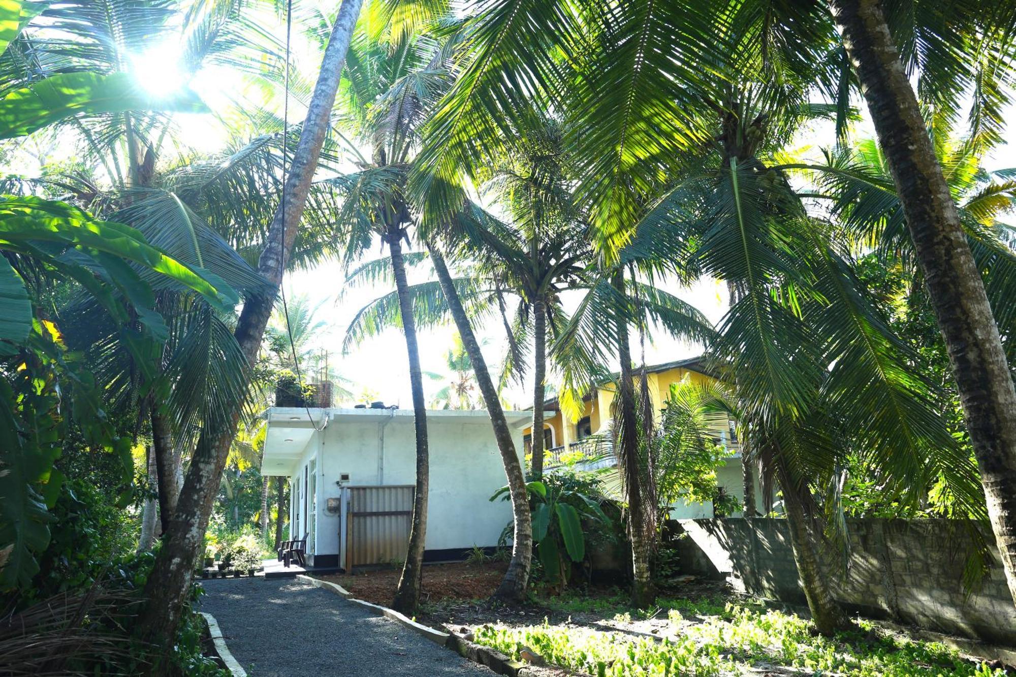 Sandy Palms Guesthouse Hikkaduwa Exterior photo